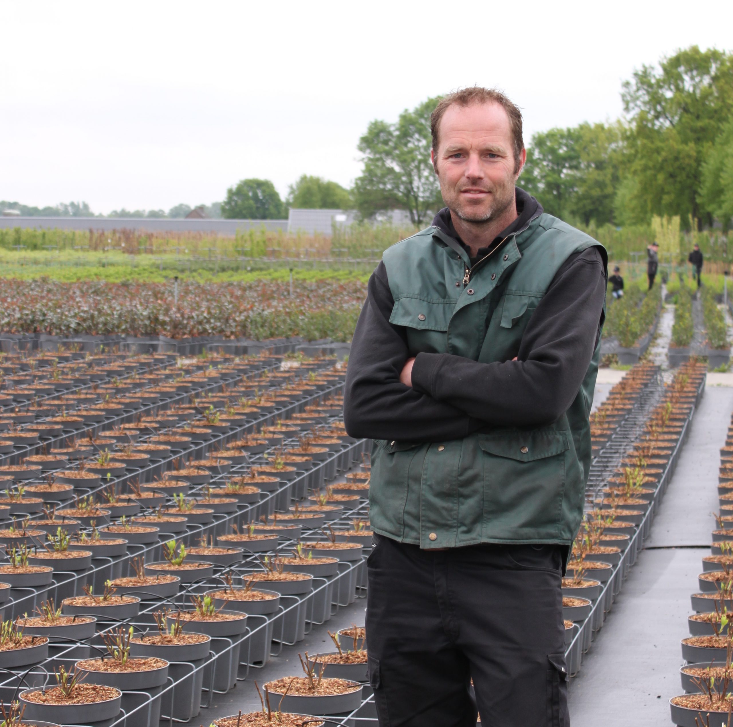 Rens van den Oever, kweker M. van den Oever - review Lensli